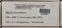 Image Associated With the Occurence